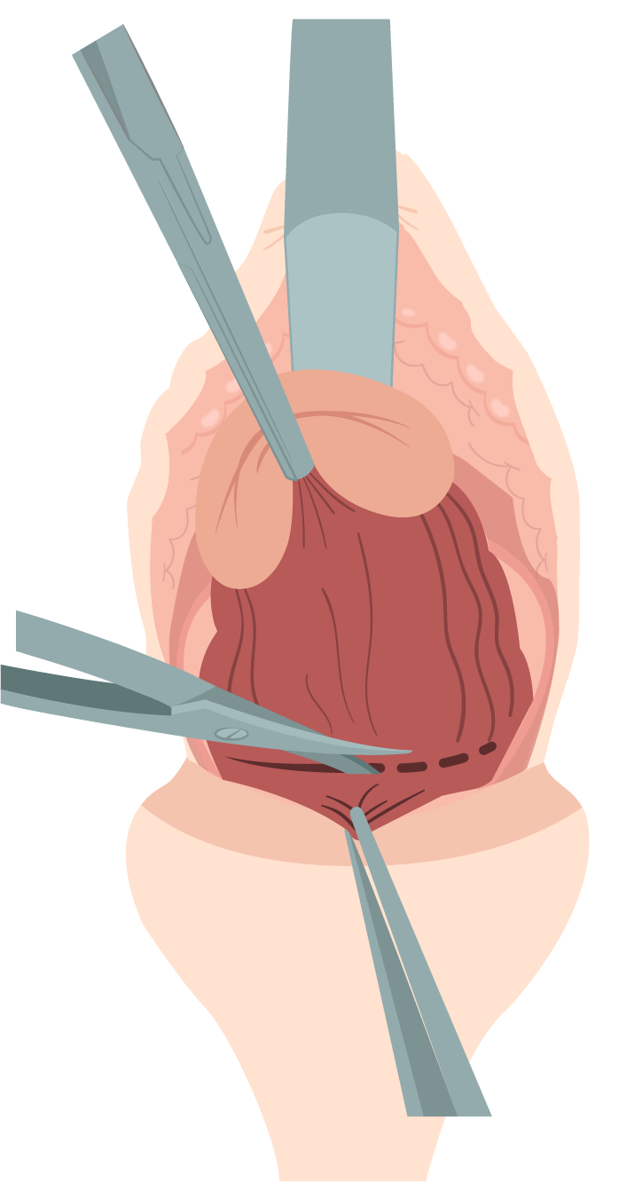 Texto alternativo para a imagem