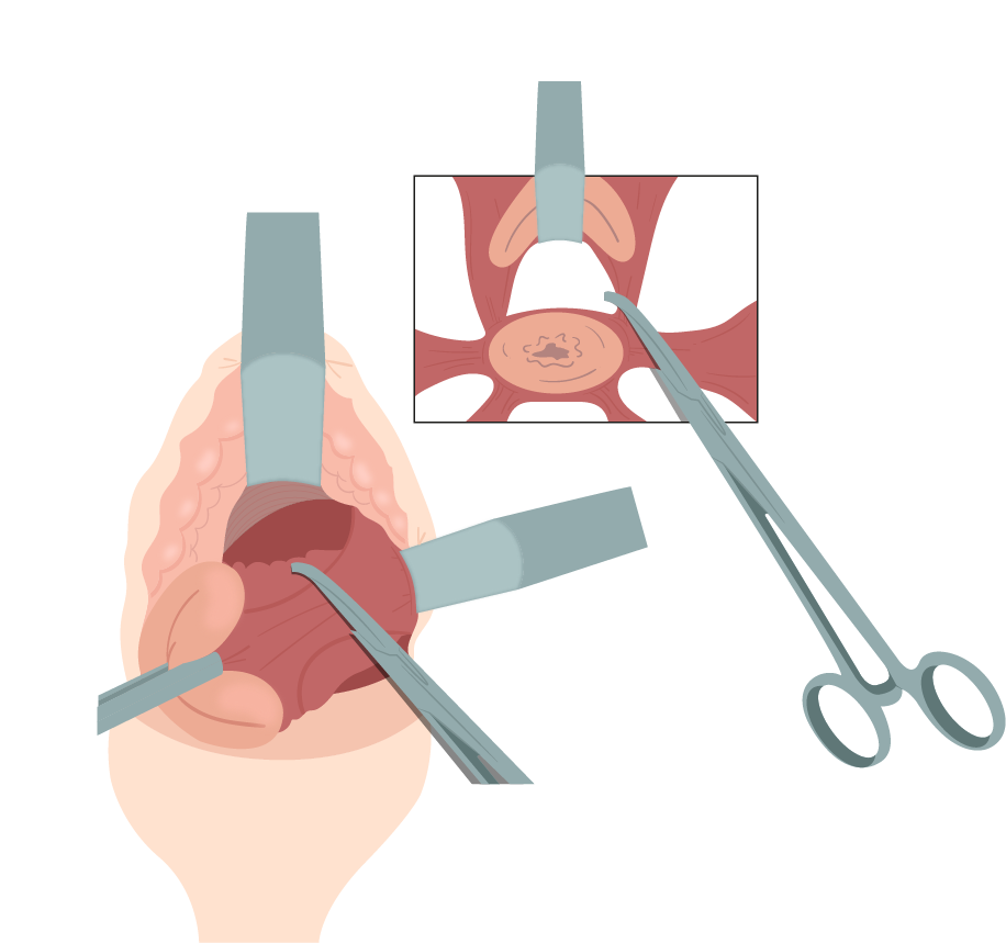 Texto alternativo para a imagem