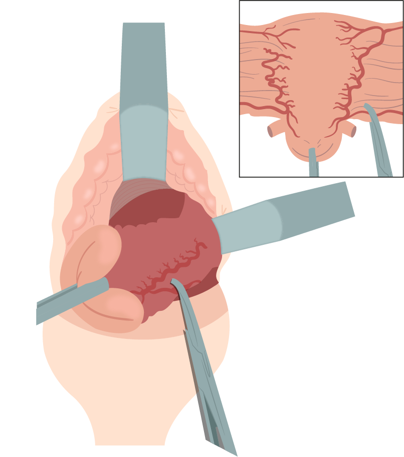 Texto alternativo para a imagem