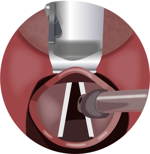 Texto alternativo para a imagem