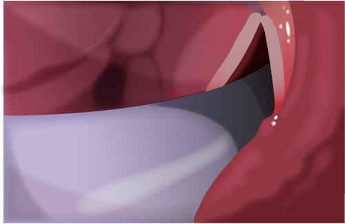 Texto alternativo para a imagem