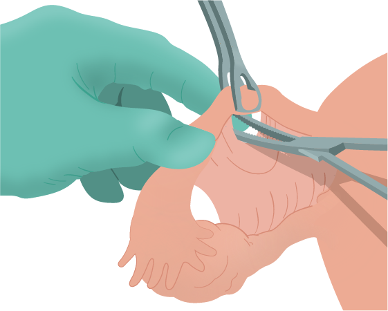 Texto alternativo para a imagem