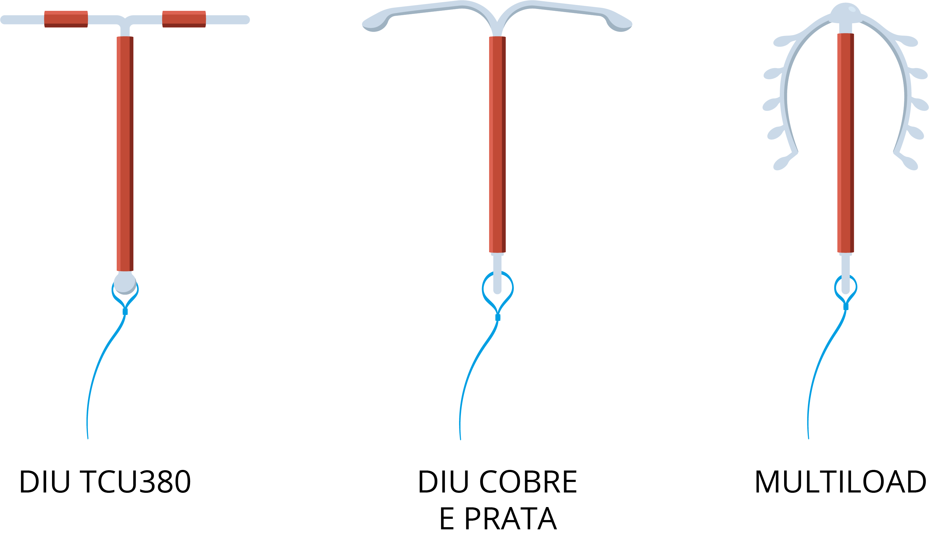 Texto alternativo para a imagem