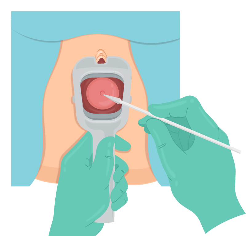 Texto alternativo para a imagem