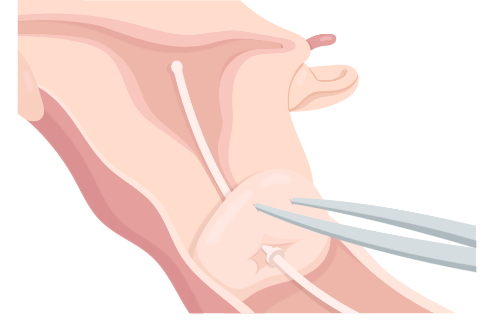 Texto alternativo para a imagem