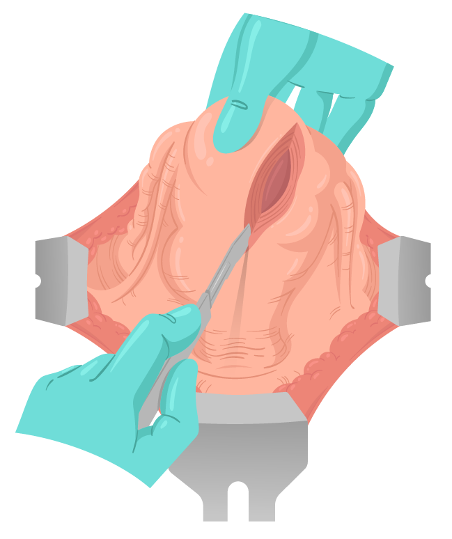 Texto alternativo para a imagem