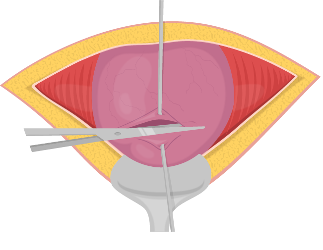 Texto alternativo para a imagem