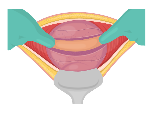 Texto alternativo para a imagem