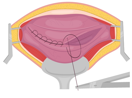 Texto alternativo para a imagem