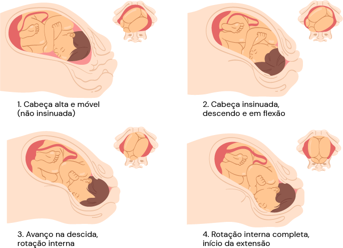 Texto alternativo para a imagem