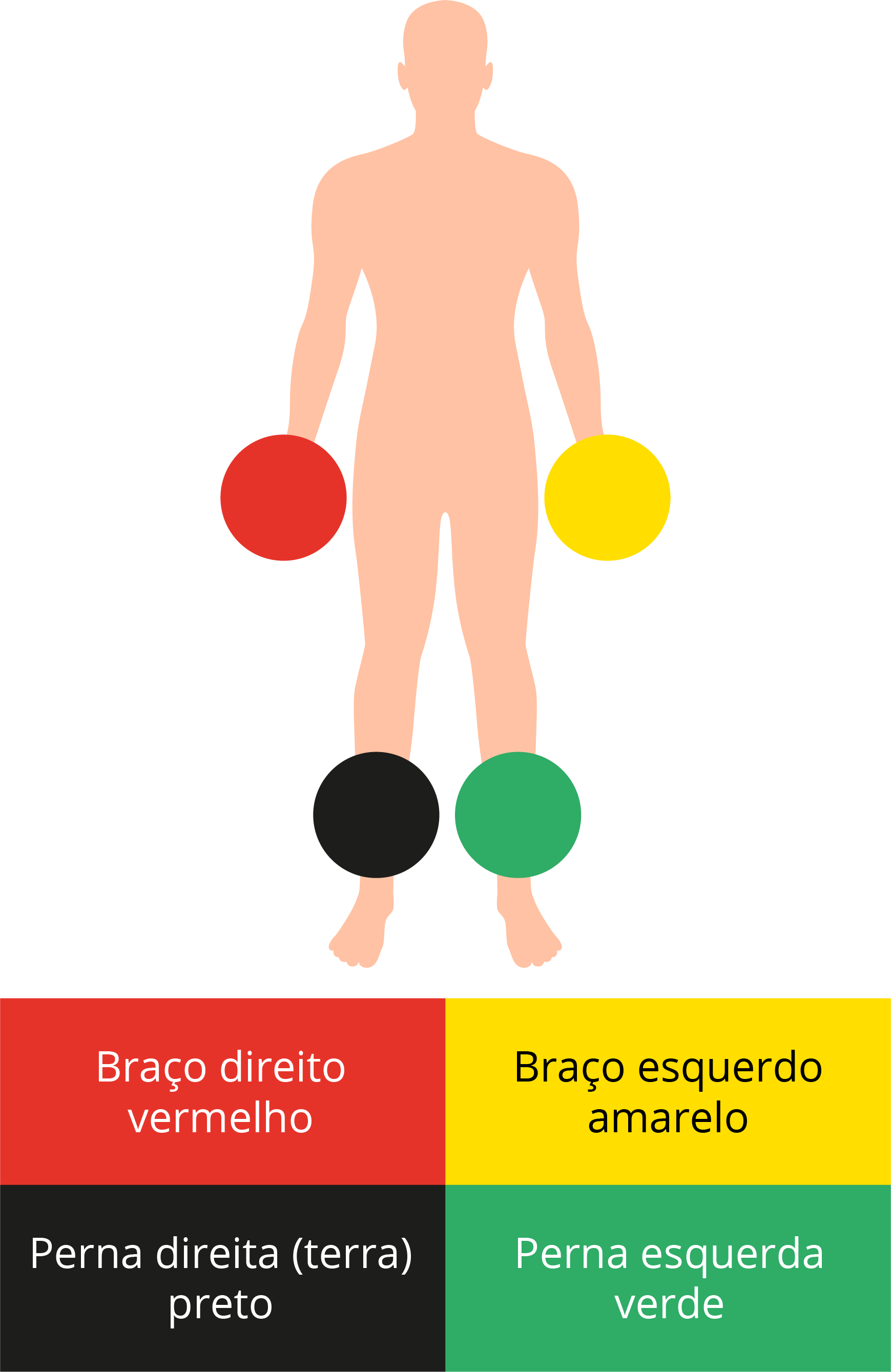 Texto alternativo para a imagem