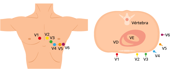 Texto alternativo para a imagem
