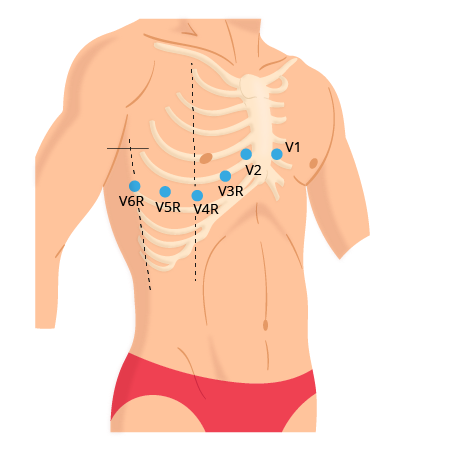 Texto alternativo para a imagem