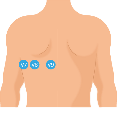Texto alternativo para a imagem