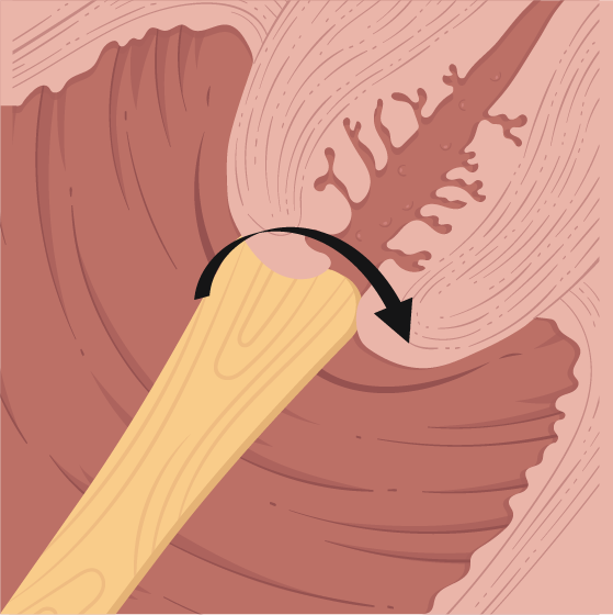 Texto alternativo para a imagem