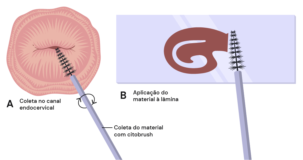 Texto alternativo para a imagem