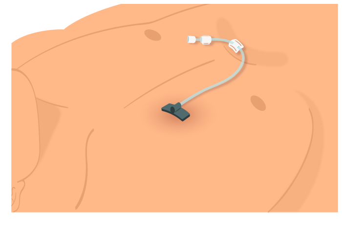 Texto alternativo para a imagem