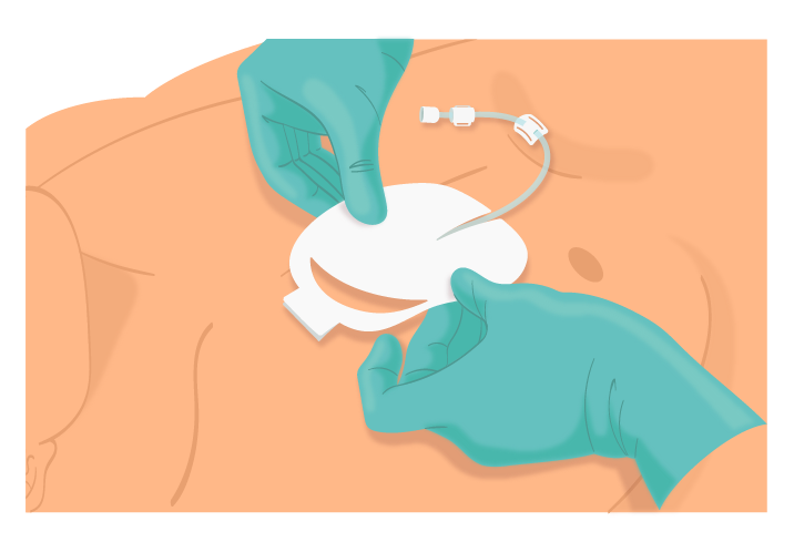 Texto alternativo para a imagem