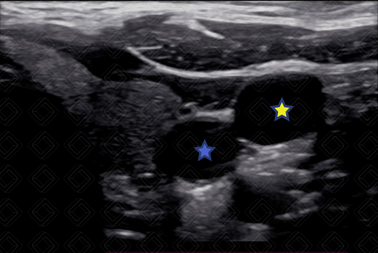 Texto alternativo para a imagem