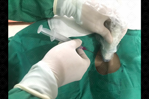 Texto alternativo para a imagem