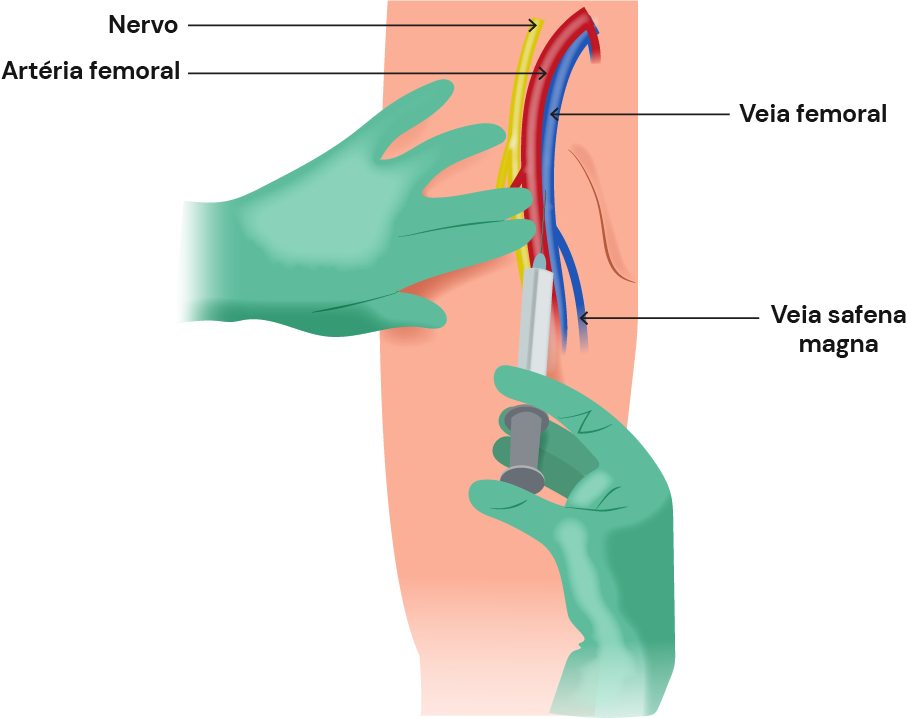 Texto alternativo para a imagem