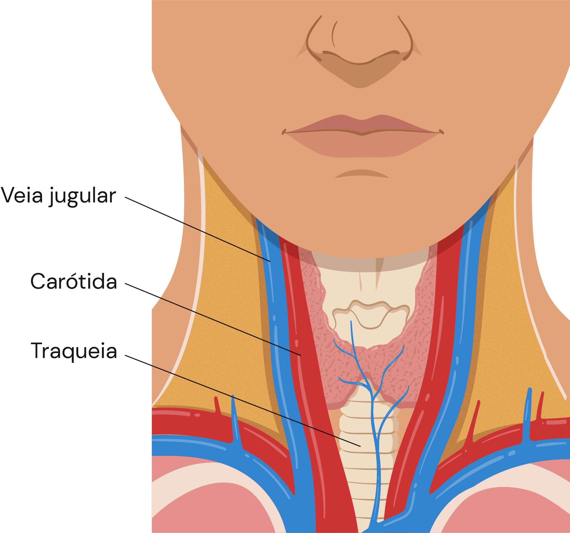 Texto alternativo para a imagem