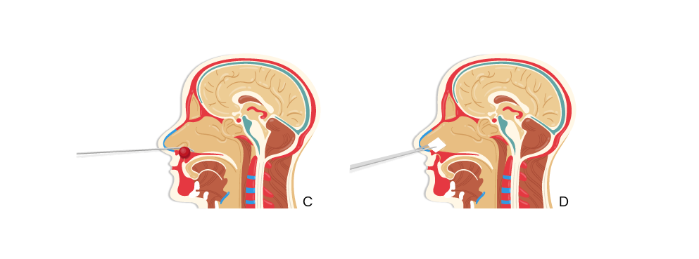 Texto alternativo para a imagem