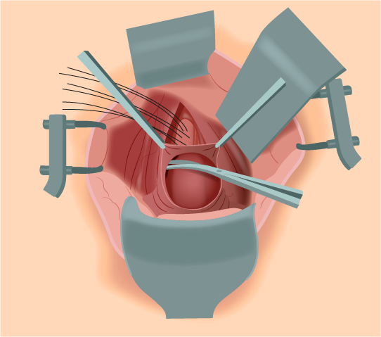Texto alternativo para a imagem