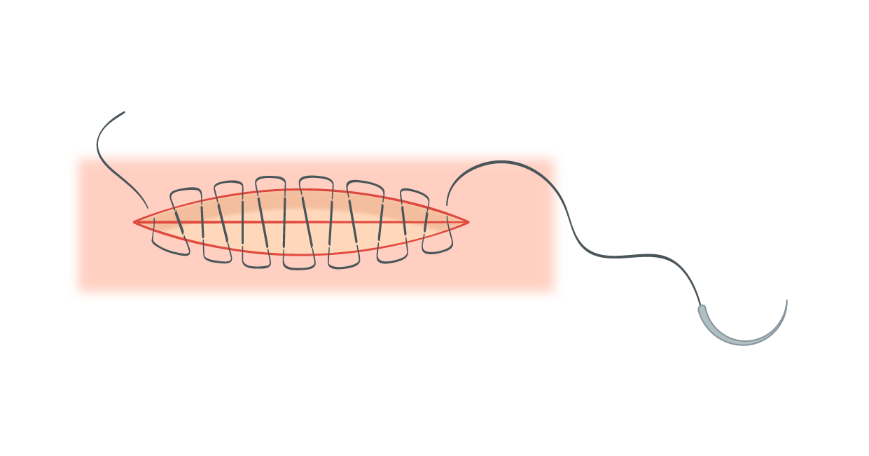 Texto alternativo para a imagem
