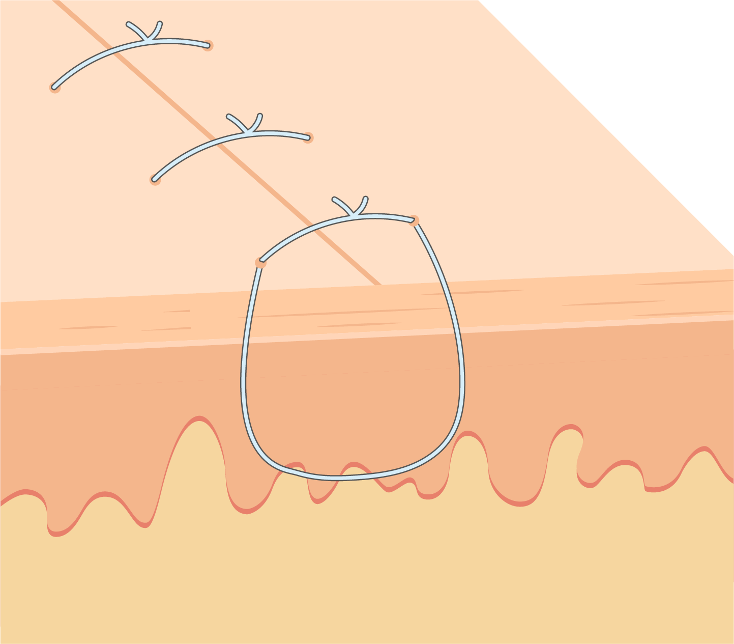 Texto alternativo para a imagem