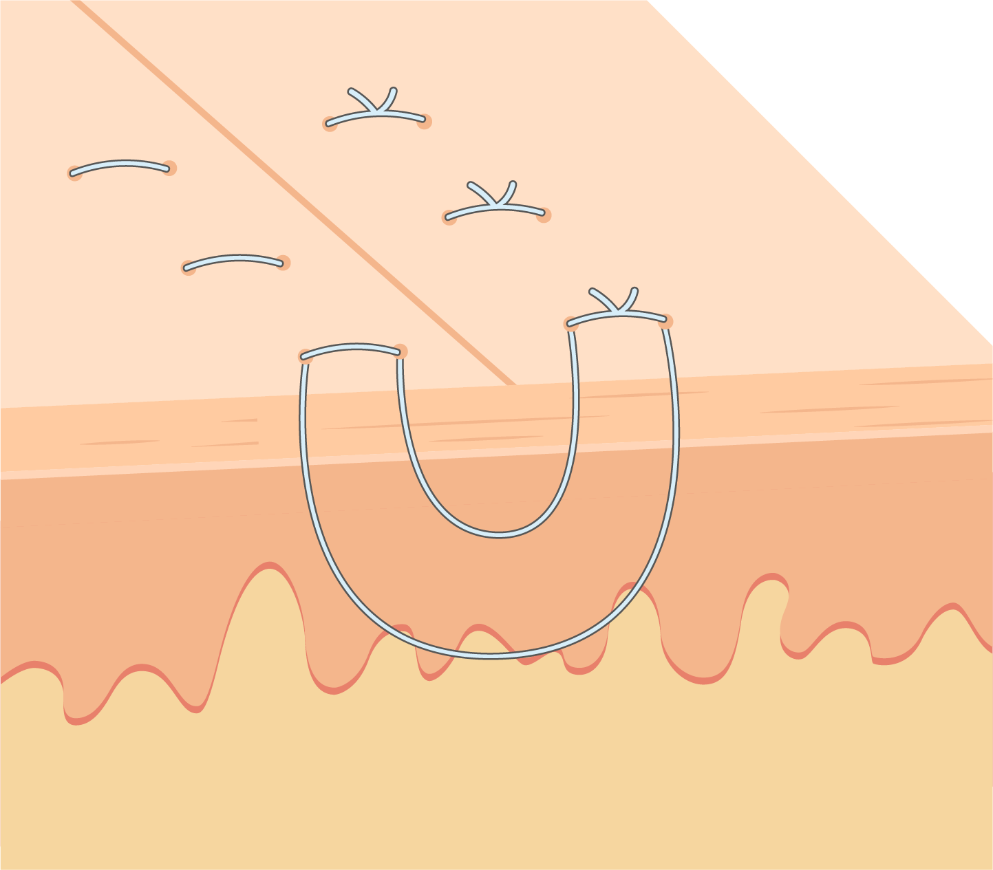 Texto alternativo para a imagem