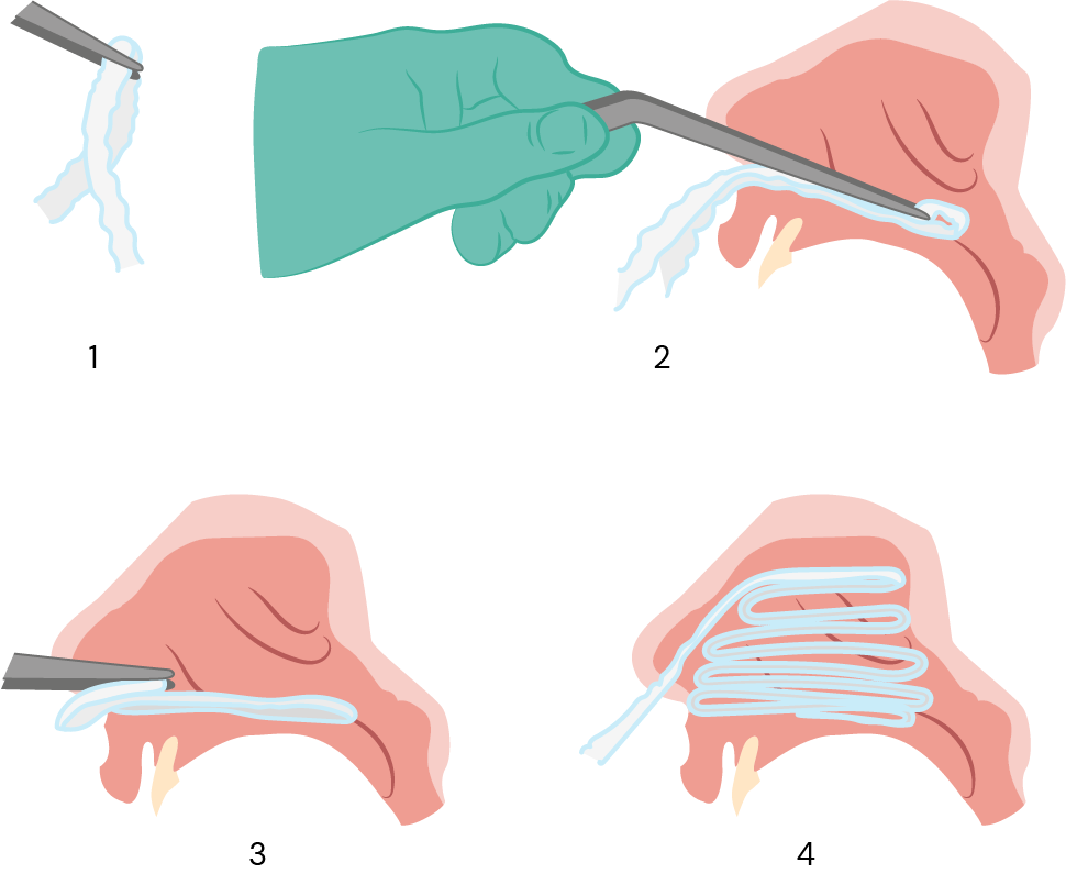 Texto alternativo para a imagem