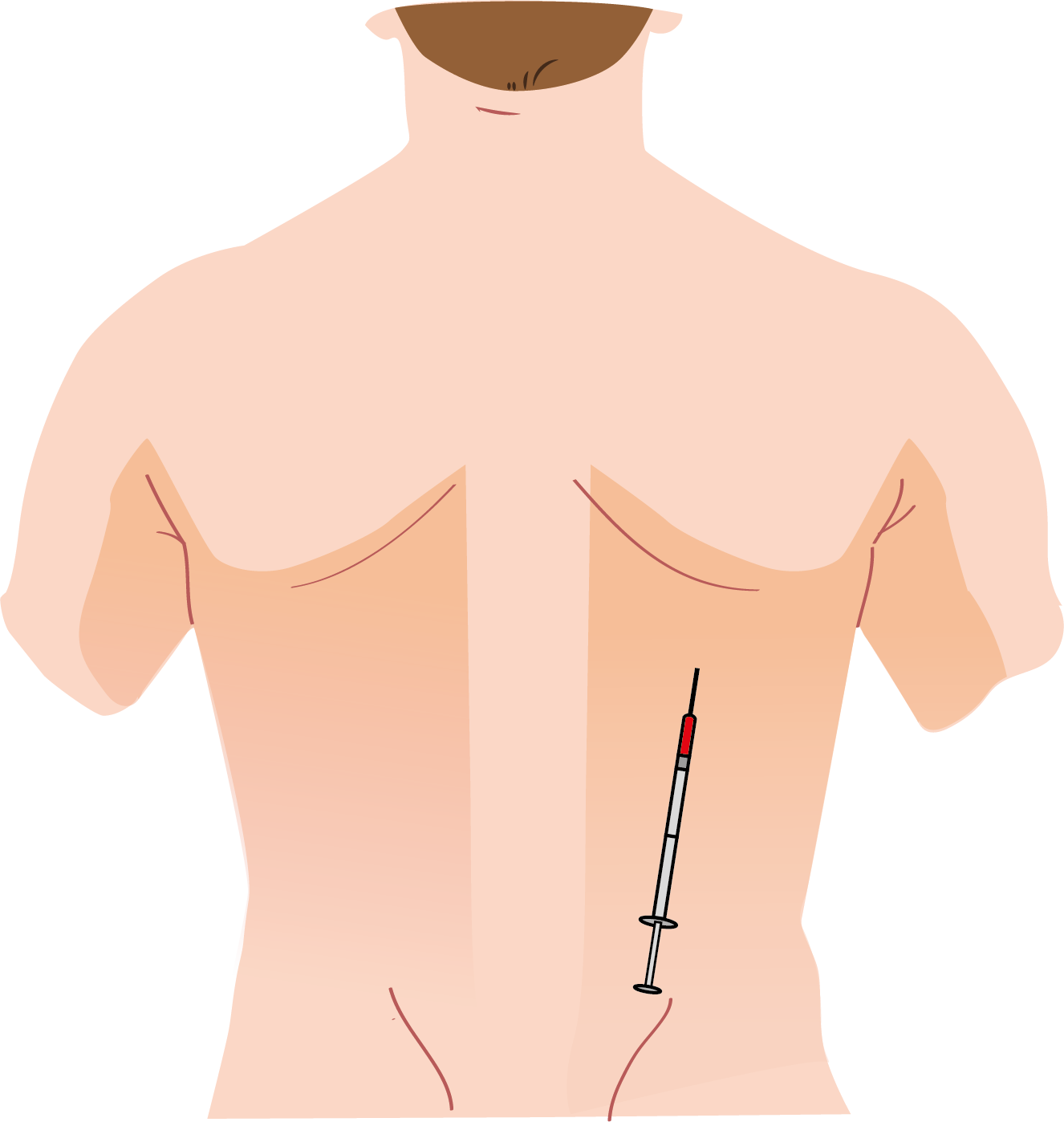 Texto alternativo para a imagem