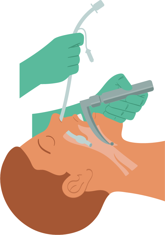 Texto alternativo para a imagem