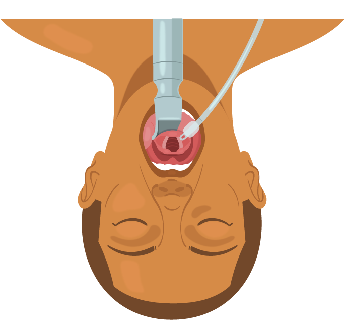 Texto alternativo para a imagem