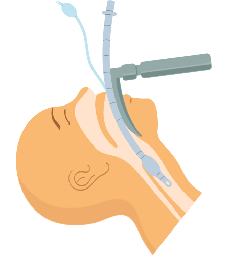 Texto alternativo para a imagem