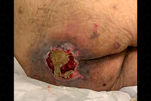 Texto alternativo para a imagem