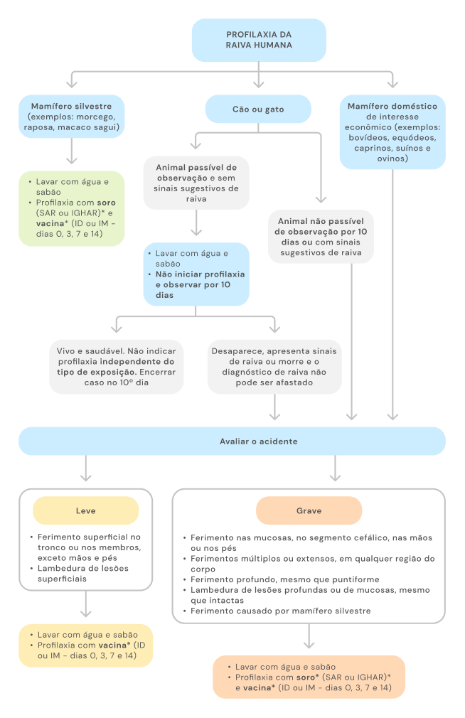 Texto alternativo para a imagem