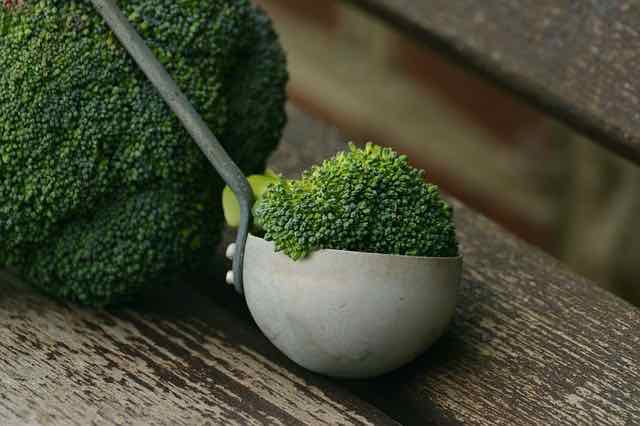 Dietas vegetarianas para adolescentes
