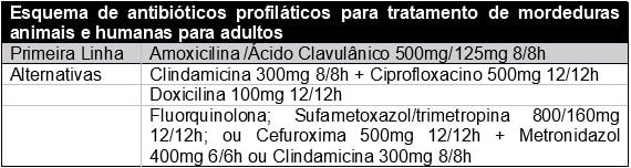 mordedura