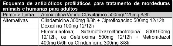 mordedura