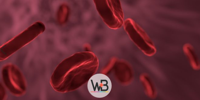 Whitebook: saiba o que é e como identificar a anemia ...