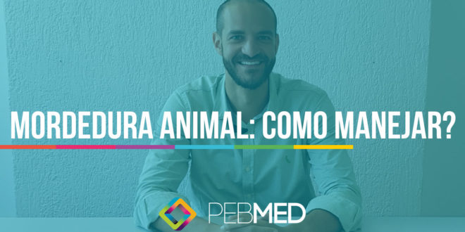 mordedura de animais