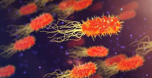 #Bacteriúria assintomática: tratamento antibiótico é eficaz ...