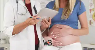 médica com gestante ao lado passando as vacinas para a gestação