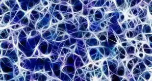 Rede neural objeto do exame de Eletroneuromiografia