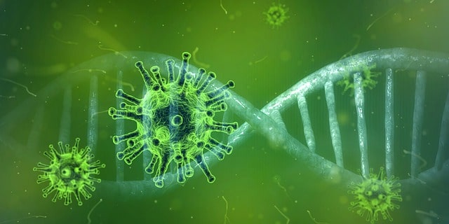 Cientistas alertam que coronavírus que sofreu mutação genética se espalha pela Europa