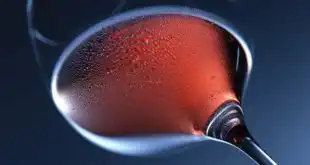 Cirurgia bariátrica e uso de bebidas alcoólicas