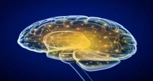 doença de alzheimer