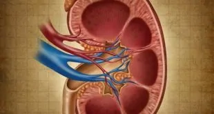 Particularidades da estenose aórtica em pacientes com doença renal crônica